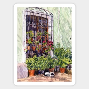 Window with flowerpots and cat, Bentarique. Sticker